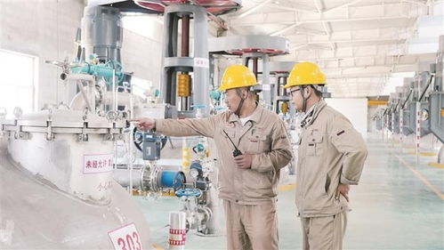 新疆自貿(mào)試驗區(qū)建設(shè) 技術(shù)咨詢助力高質(zhì)量發(fā)展