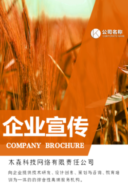 木森網絡 以城市智慧基因，驅動數字創新未來